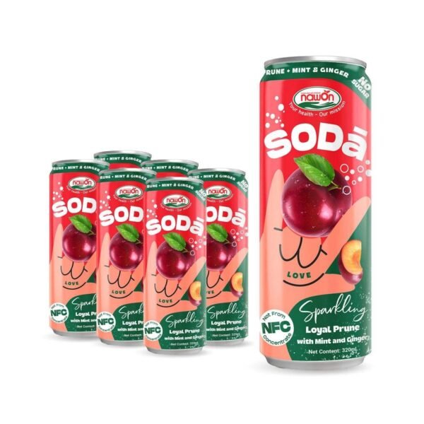 Blueberry Sparkling Fruit Juice Drink 320ml Can