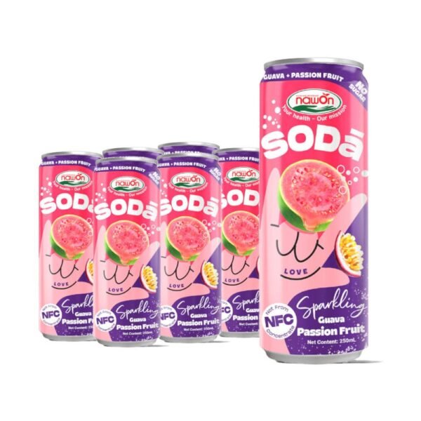 Blueberry Sparkling Fruit Juice Drink 320ml Can