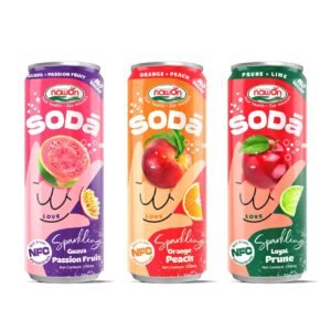 Blueberry Sparkling Fruit Juice Drink 320ml Can