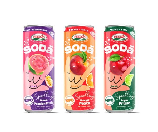 Blueberry Sparkling Fruit Juice Drink 320ml Can