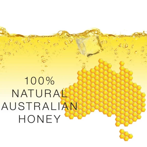 Honey B Sparkling Honey Drink 250ml x 6